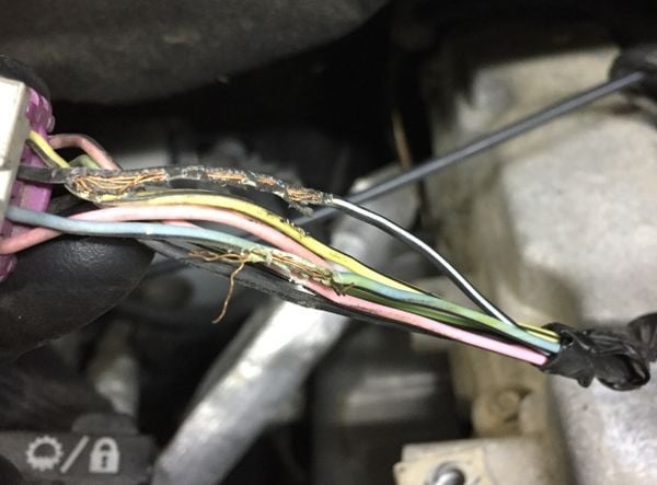 Chủ xe kiểm tra khoang máy ô tô